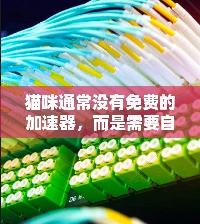猫咪通常没有免费的加速器，而是需要自己购买加速器后使用。以下是逐步说明