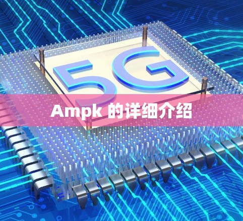 Ampk 的详细介绍