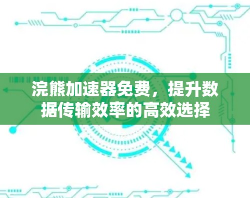 浣熊加速器免费,提升数据传输效率的高效选择 浣熊加速器免费,提升数据传输效率的高效选择