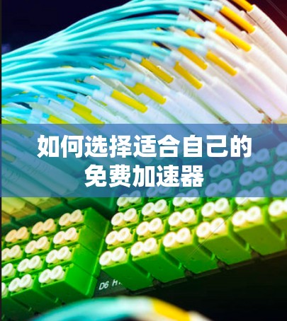 如何选择适合自己的免费加速器 如何选择适合自己的免费加速器