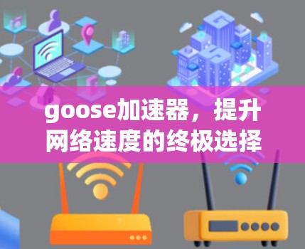 goose加速器,提升网络速度的终极选择 goose加速器,提升网络速度的终极选择