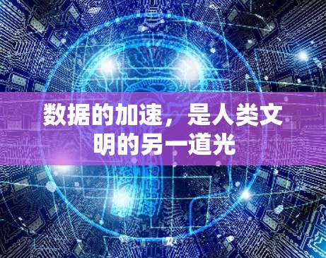 数据的加速，是人类文明的另一道光