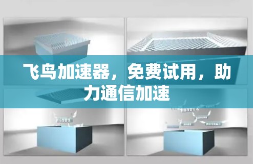 飞鸟加速器,免费试用,助力通信加速 飞鸟加速器,免费试用,助力通信加速