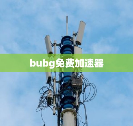 bubg免费加速器