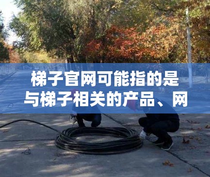 梯子官网可能指的是与梯子相关的产品、网站或服务的URL。以下是一些可能的梯子相关网站类型