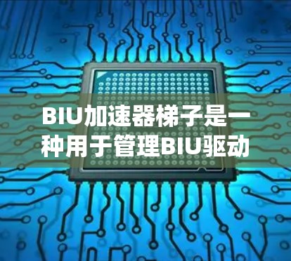 BIU加速器梯子是一种用于管理BIU驱动系统和BIU Office的加速器工具,通常由BIU公司提供。以下是关于BIU加速器梯子的详细步骤说明 BIU加速器梯子是一种用于管理BIU驱动系统和BIU Office的加速器工具,通常由BIU公司提供。以下是关于BIU加速器梯子的详细步骤说明