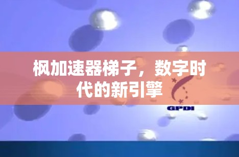枫加速器梯子,数字时代的新引擎 枫加速器梯子,数字时代的新引擎