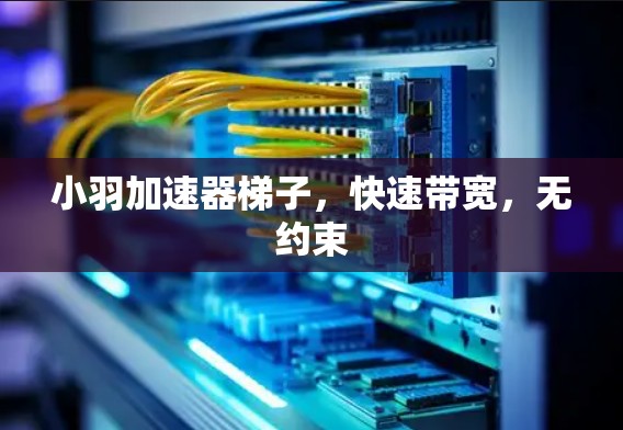 小羽加速器梯子，快速带宽，无约束