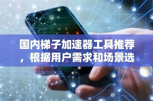 国内梯子加速器工具推荐，根据用户需求和场景选择以下工具