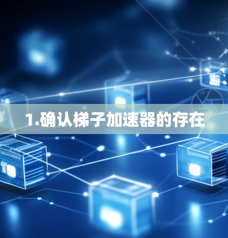 1.确认梯子加速器的存在