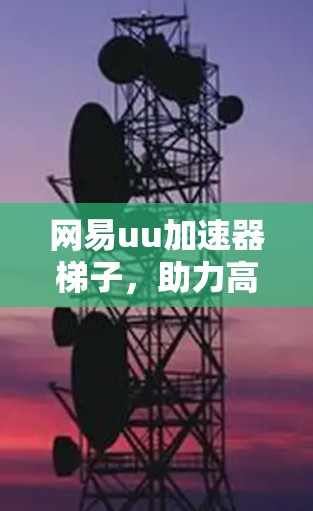 网易uu加速器梯子,助力高效数据传输的解决方案 网易uu加速器梯子,助力高效数据传输的解决方案