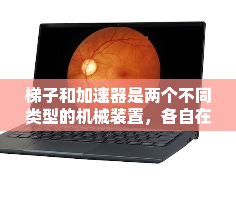 梯子和加速器是两个不同类型的机械装置，各自在不同的领域和任务中发挥重要作用。以下是它们的主要区别