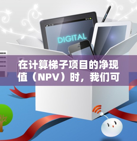 在计算梯子项目的净现值（NPV）时，我们可以按照以下步骤进行