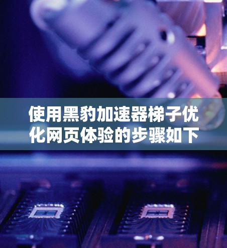 使用黑豹加速器梯子优化网页体验的步骤如下