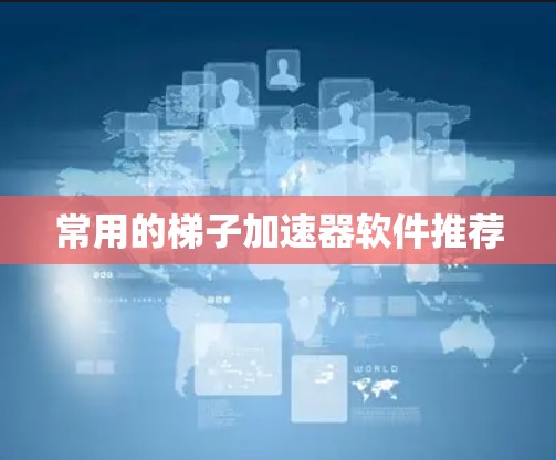 常用的梯子加速器软件推荐