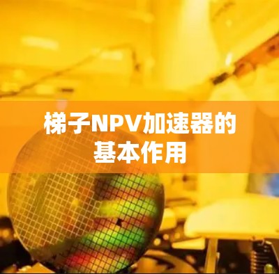 梯子NPV加速器的基本作用