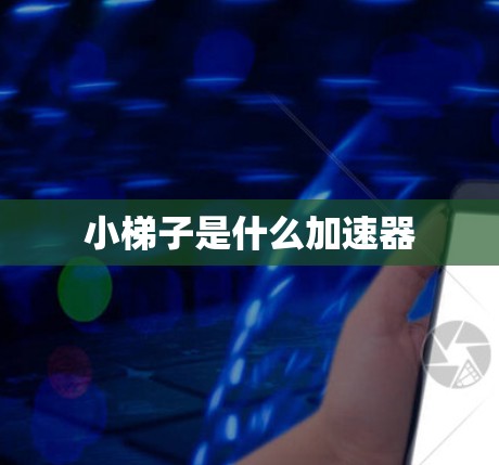 小梯子是什么加速器