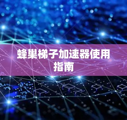 蜂巢梯子加速器使用指南