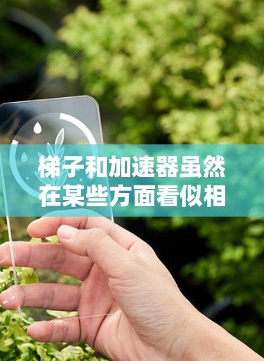 梯子和加速器虽然在某些方面看似相似，但它们在用途、结构、应用和技术分析上存在显著的不同。以下是对两者的主要区别和对比