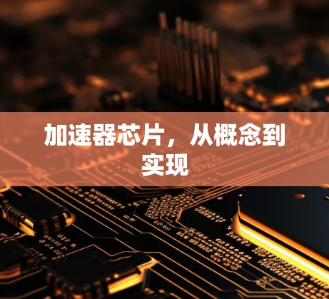 加速器芯片,从概念到实现 加速器芯片,从概念到实现
