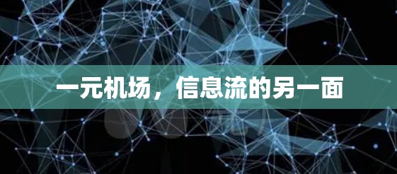 一元机场，信息流的另一面