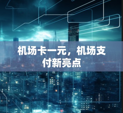 机场卡一元，机场支付新亮点
