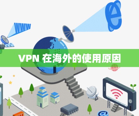 VPN 在海外的使用原因 VPN 在海外的使用原因