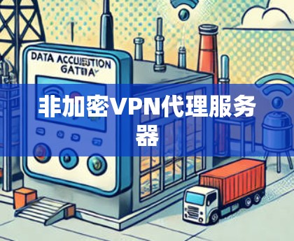非加密VPN代理服务器 非加密VPN代理服务器