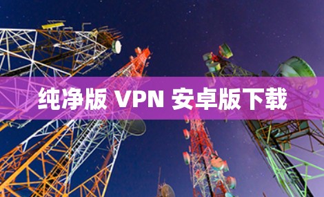 纯净版 VPN 安卓版下载