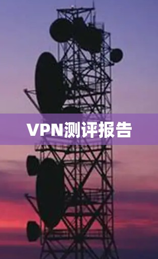VPN测评报告