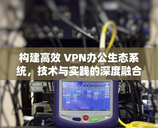 构建高效 VPN办公生态系统，技术与实践的深度融合