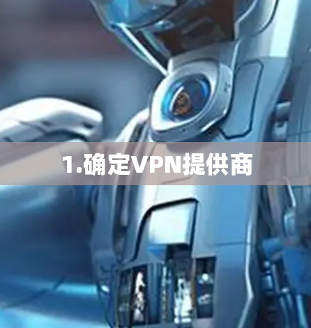 1.确定VPN提供商