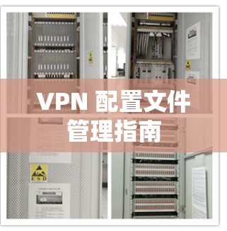 VPN 配置文件管理指南