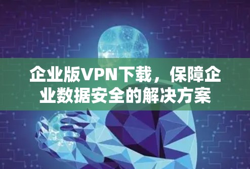 企业版VPN下载,保障企业数据安全的解决方案 企业版VPN下载,保障企业数据安全的解决方案
