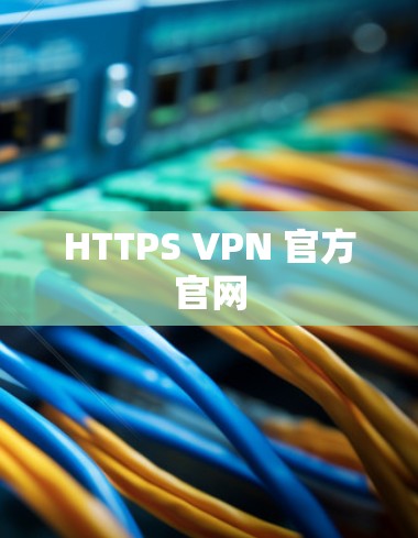 HTTPS VPN 官方官网 HTTPS VPN 官方官网