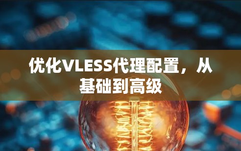 优化VLESS代理配置,从基础到高级 优化VLESS代理配置,从基础到高级