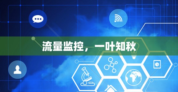 流量监控,一叶知秋 流量监控,一叶知秋