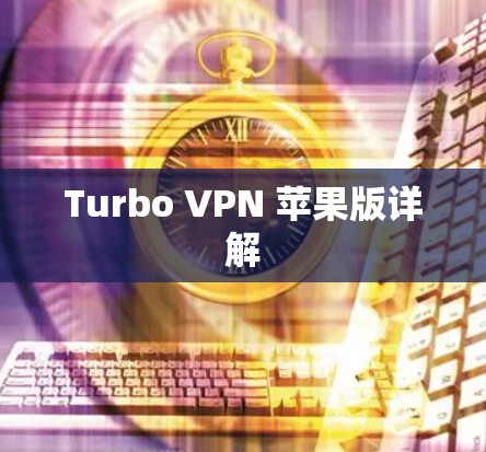 Turbo VPN 苹果版详解