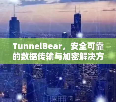 TunnelBear，安全可靠的数据传输与加密解决方案