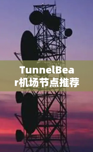 TunnelBear机场节点推荐,AI云存储与服务器解决方案 TunnelBear机场节点推荐,AI云存储与服务器解决方案