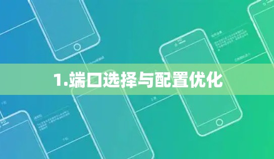 1.端口选择与配置优化 1.端口选择与配置优化