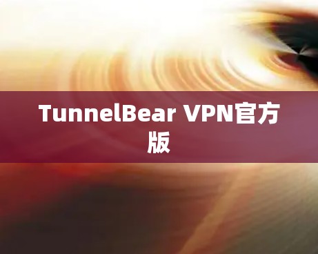 TunnelBear VPN官方版 TunnelBear VPN官方版