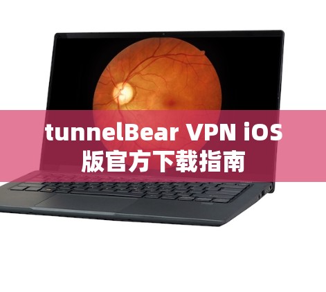 tunnelBear VPN iOS版官方下载指南 tunnelBear VPN iOS版官方下载指南