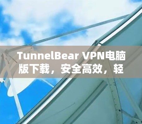 TunnelBear VPN电脑版下载，安全高效，轻松连接全球网络