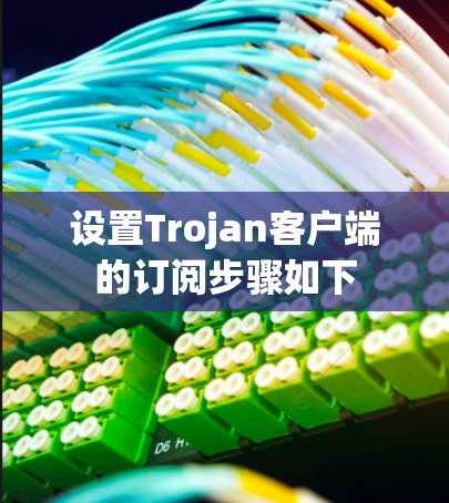 设置Trojan客户端的订阅步骤如下
