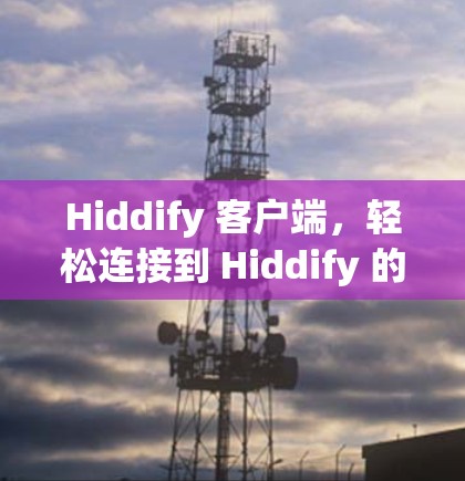 Hiddify 客户端，轻松连接到 Hiddify 的高效便捷体验