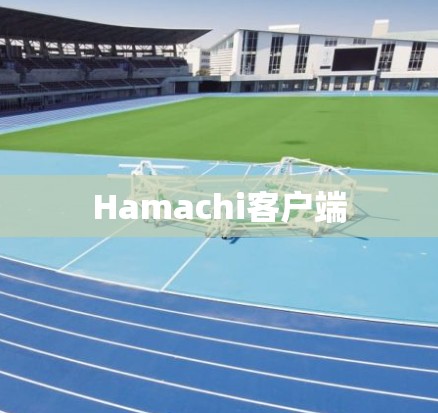 Hamachi客户端 Hamachi客户端
