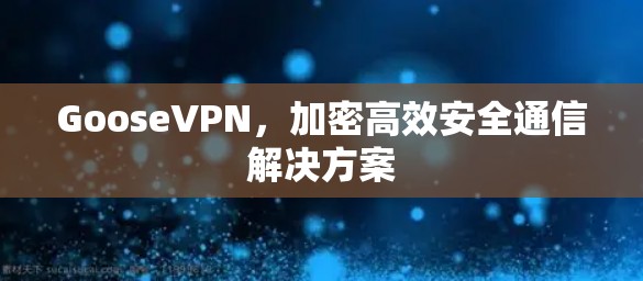 GooseVPN，加密高效安全通信解决方案