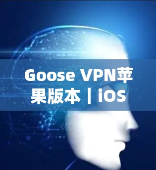 Goose VPN苹果版本｜iOS工具