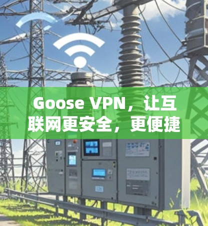Goose VPN，让互联网更安全，更便捷的网络解决方案
